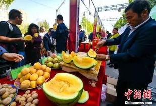 唐山吃瓜爆料视频大全最新,揭秘热点事件背后的真相