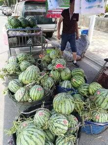 合肥七夕吃瓜事件视频