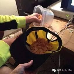 懒人吃瓜吹风的视频,轻松掌握热门视频吹风