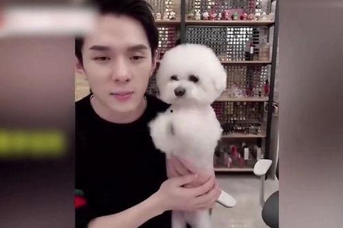 吃瓜女明星找狗视频播放,明星与狗狗的甜蜜邂逅