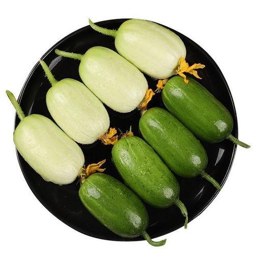 甜蜜瓜怎样吃最好吃视频,视频教你如何吃出最佳口感