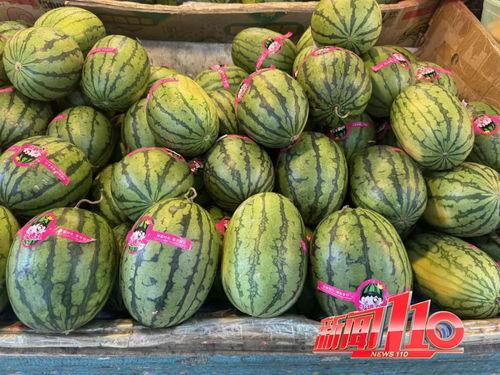 大瓜都在哪里吃的视频播放