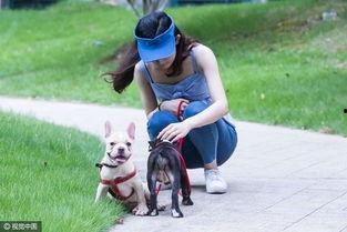 大学生遛狗吃瓜视频,大学生遛狗吃瓜，趣味生活瞬间捕捉