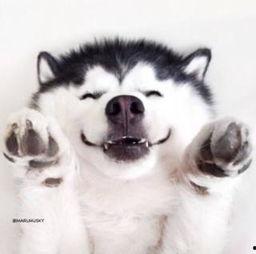 无语吃瓜群众视频素材下载,网络热梗背后的故事