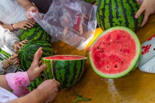 在美国吃瓜视频