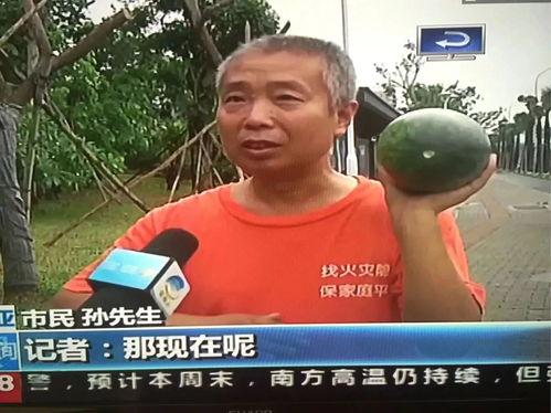 网络吃瓜热门事件视频,揭秘热门吃瓜事件背后的真相与争议