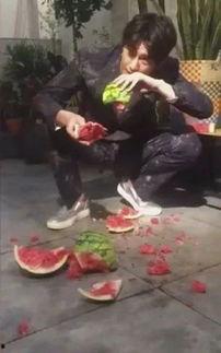 寿光屯田吃瓜事件视频,一场引发热议的农田奇观