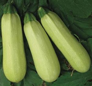 仙居最新吃瓜新闻视频,揭秘网络热传视频背后的惊人真相