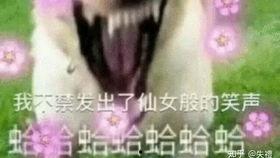 吃瓜摸鱼甩锅视频大全,笑料百出！吃瓜摸鱼甩锅视频大盘点